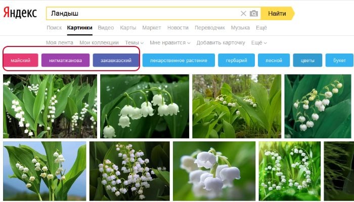 Filtres pour rechercher des images Yandex