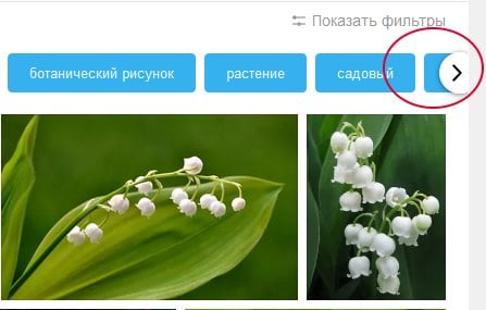 Flèche pour afficher d'autres filtres dans Yandex