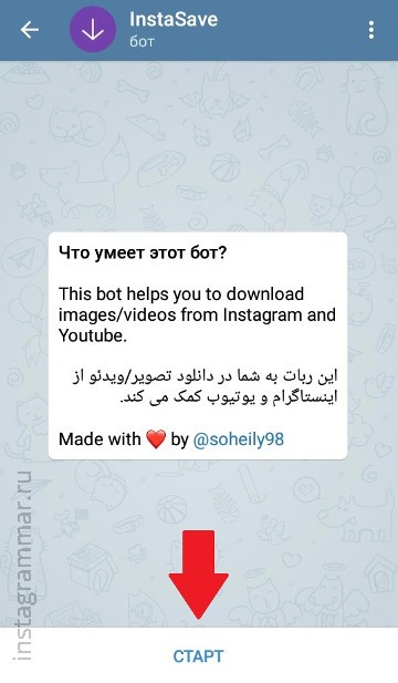 Affichage anonyme des histoires Instagram - bot Telegram