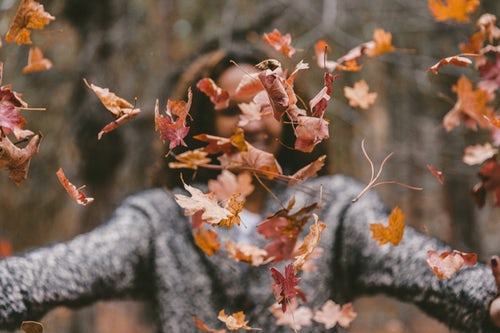 Idées de photos d'automne pour instagram - une fille jette des feuilles dans la forêt