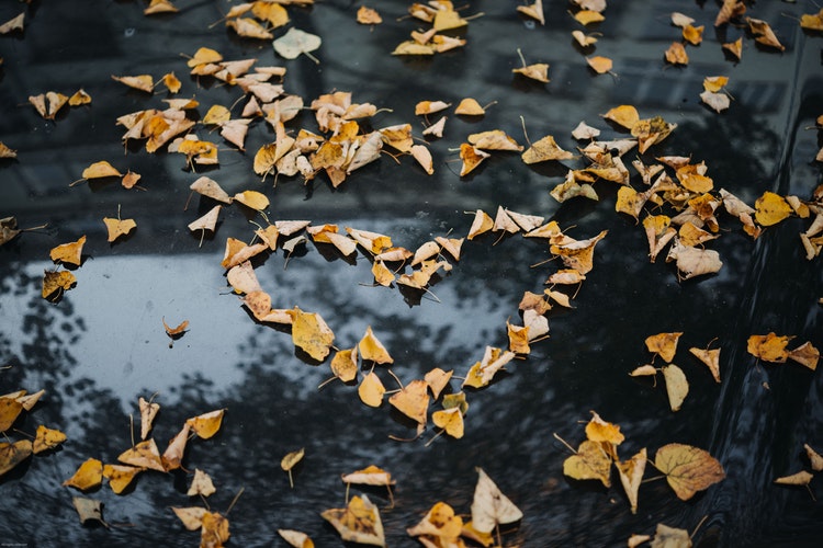 Idées de photos d'automne Instagram - un cœur de feuilles