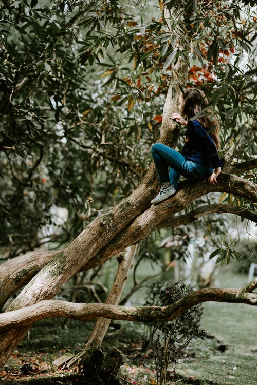 Idées de photos d'automne pour instagram - une fille sur un arbre