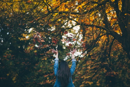 Idées de photos d'automne pour instagram - jette des feuilles dans la forêt