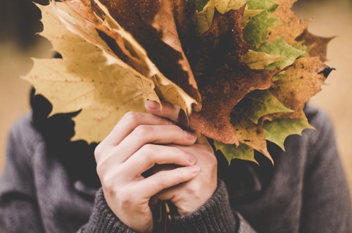 Idées de photos d'automne pour instagram un bouquet de feuilles