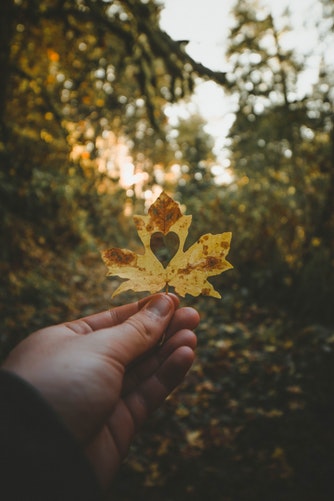 Idées de photos d'automne pour une brochure instagram avec un coeur