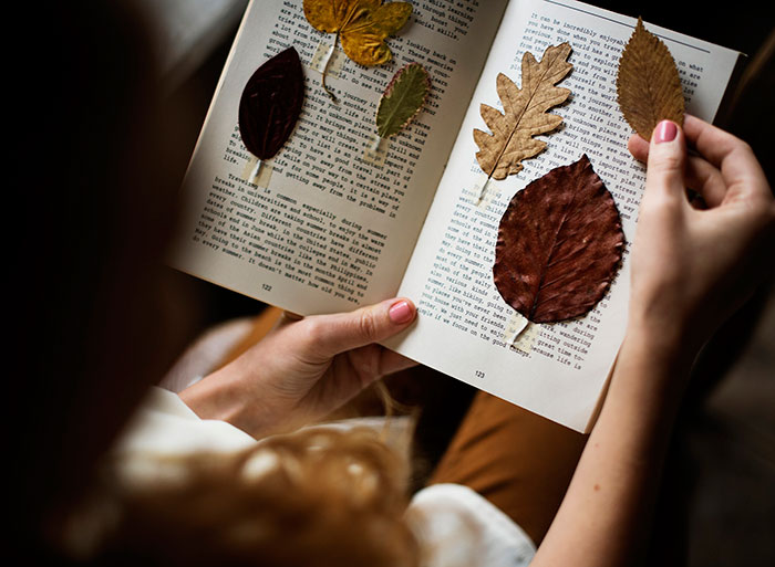 Idées de photos d'automne pour Instagram - feuilles sèches dans un livre