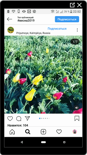 Vidéo sur Instagram sur le printemps